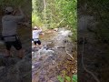 Brown Trout Fool #flyfishing #creekfishing #mentalhealth