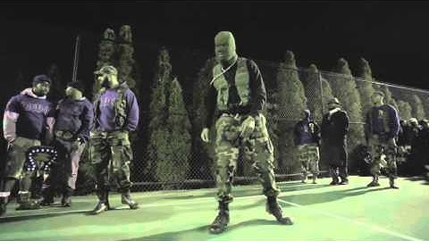 Lambda Zeta Fall 15 Probate Video