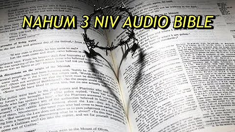 NAHUM 3 NIV AUDIO BIBLE(with text)