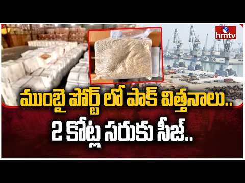 ముంబై పోర్ట్ లో పాక్ విత్తనాలు..2 కోట్ల సరుకు సీజ్ |Pakistani Watermelon Seeds Seized at Mumbai Port - HMTVNEWS