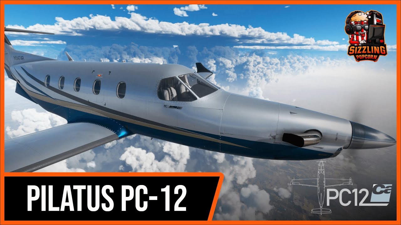 PILATUS PC-12 - Frasca Flight Simulation