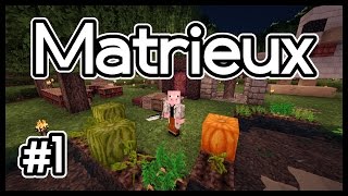 [Danish] Minecraft Lets Play - Matrieux #1