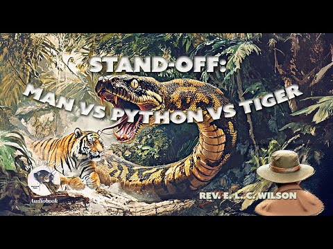 STANDOFF | Man vs Python vs Tiger - YouTube
