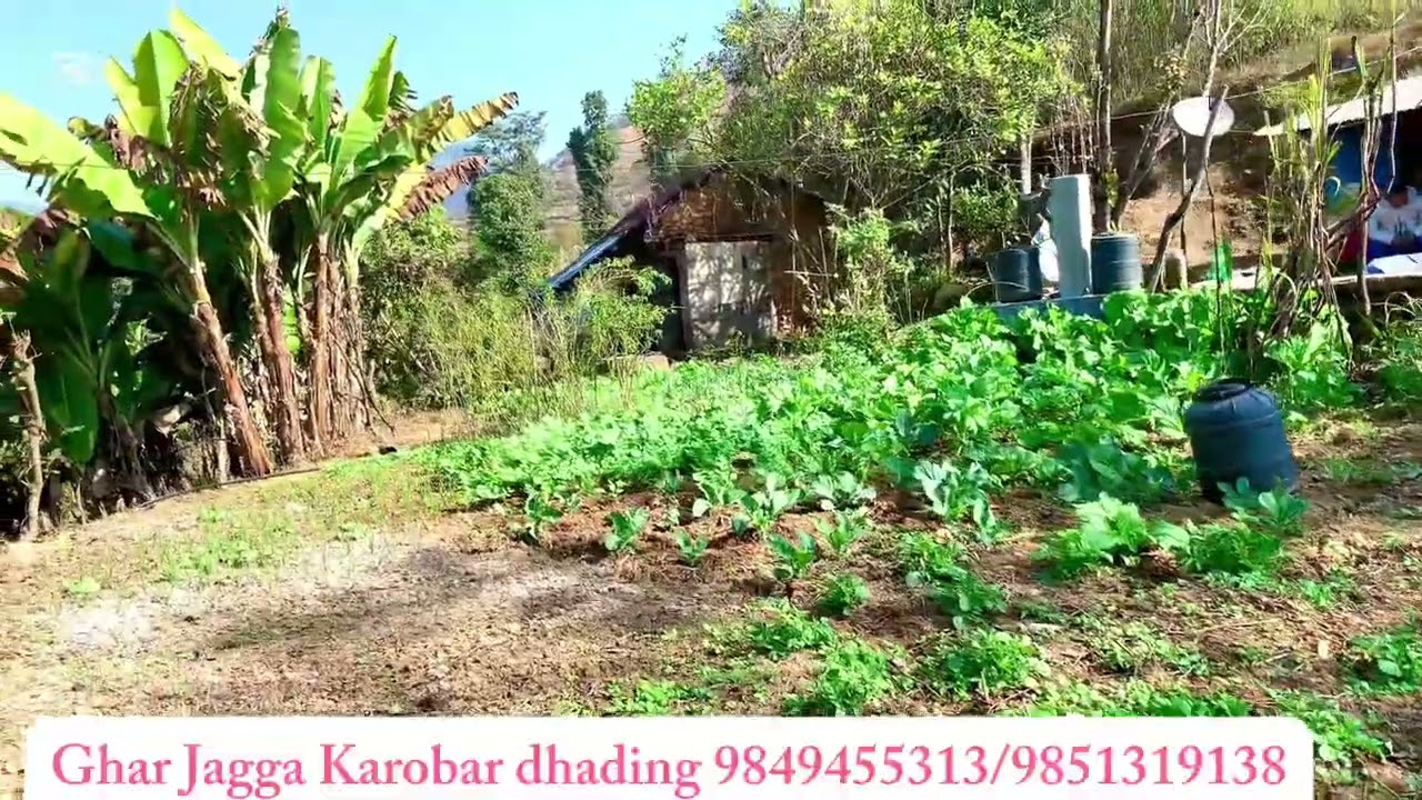 13 Ropani land for sale/ठुला ठुला पाटा/बत्ति,पानि,सडक,सुबिधा/पिच रोड नजिक/call now 9849455313