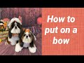 How to put a bow in your dogs hair