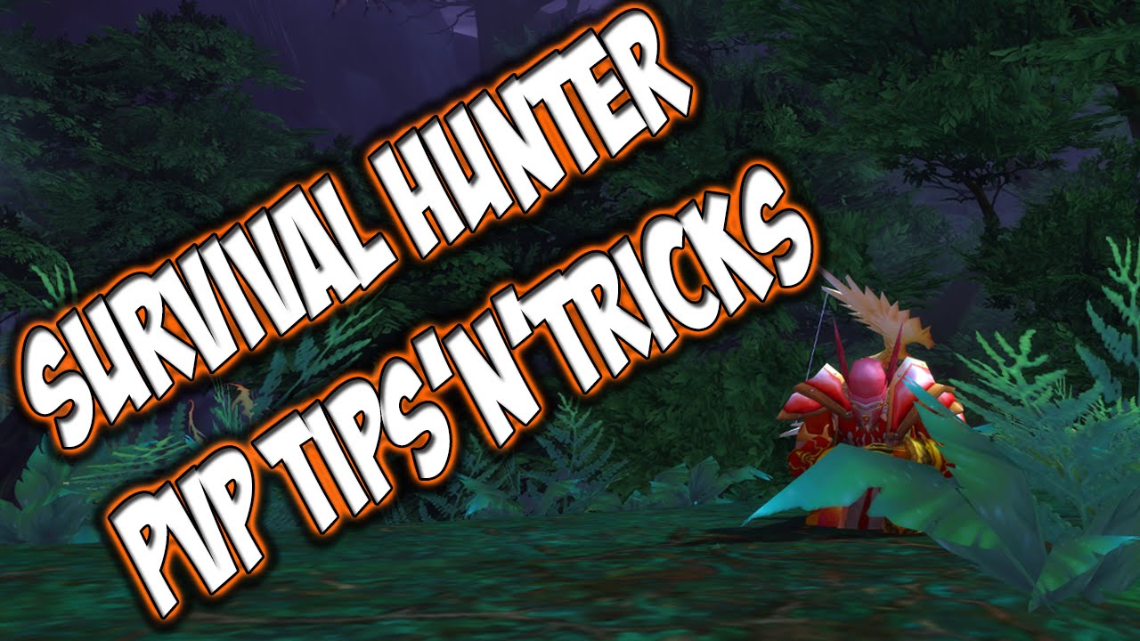 Ravenclaw - WoW 6.2 Survival hunter pvp tips and tricks