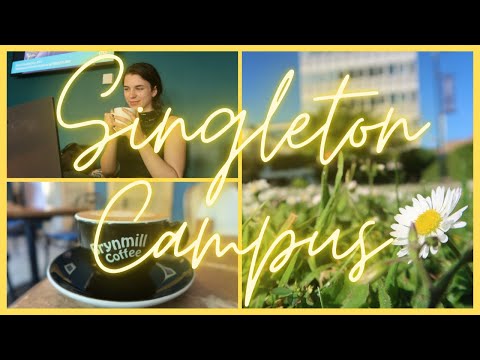 Where to study on Singleton Campus // Swansea Uni