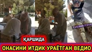 ВАХШИЛИК ОНАСИНИ КУЧАДА ИТДИК КАЛТАКЛАЁТГАН ВЕДИО ТАРКАЛДИ