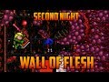 Terraria  wall of flesh on second night speedrun challenge