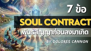 📖7 ข้อ Soul Contract พันธสัญญาก่อนลงมาเกิด 🦋