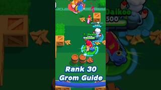 Rank 30 Grom Guide