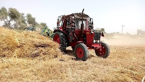 how to set Wheat thresher with belarus510 _belarus 510 tractor 🚜 working with Wheat 🌾 thresher .