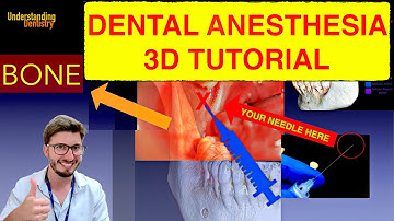 Inferior Alveolar Nerve BLOCK (3D step by step tutorial IAN dental anesthesia: Injection EASY guide)