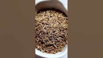 cumin seeds! when it comes to health Discover the Powerful Benefits of Cumin benefits.#shorts#health