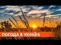 Ниже 10 градусов ночью. Погода в Украине - прогноз на неделю