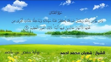 سورة التغابن : الشيخ شعبان محمد