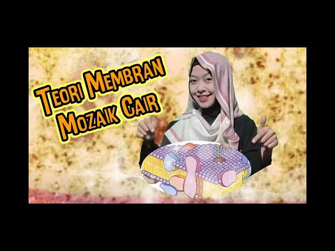 Video: Mengapa membran sel merupakan model mosaik cair?