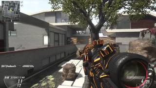 Two FFA Feeds in one Game: Empire Vexx Bo2