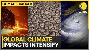 Extreme Heat Alters Marine Life | Global Climate Impacts Intensify | Climate Tracker