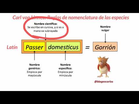 Taxonomía de los seres vivos - 1ESO