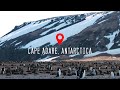 Cape adare antarctica national geographic endurance 4k