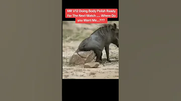 Kasongo Yeye 