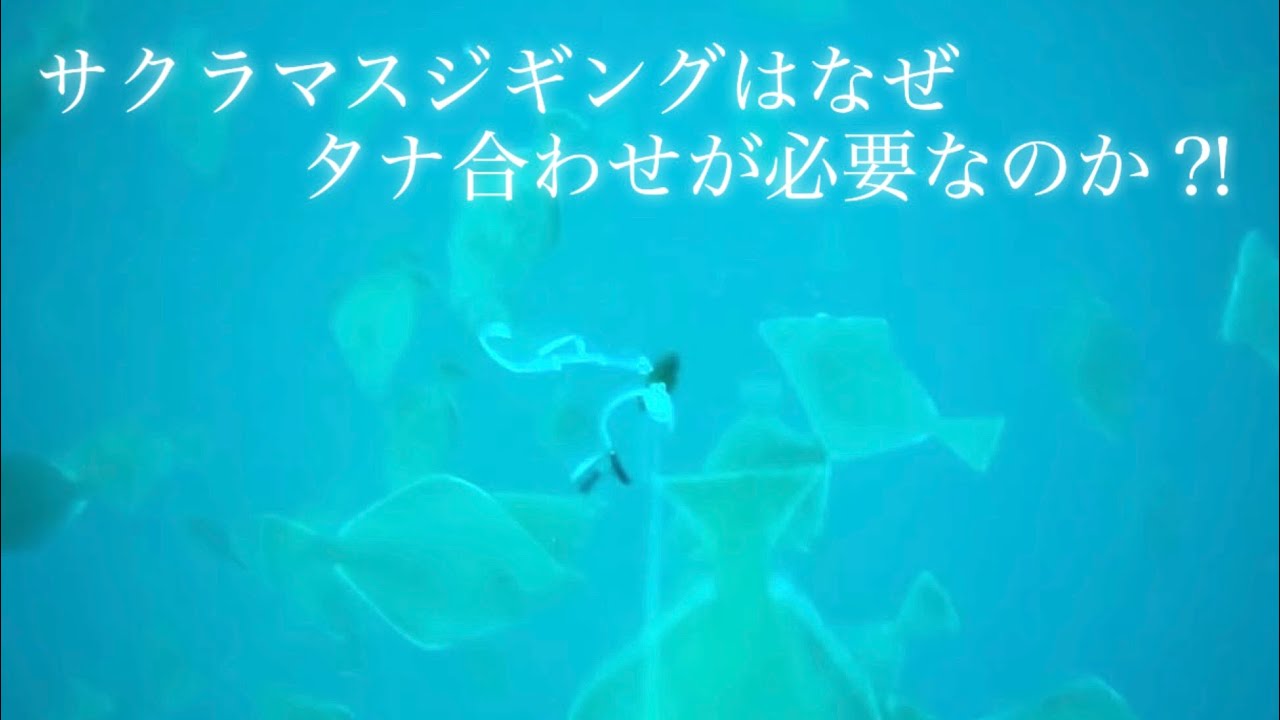 サクラマスジギングのタナ合わせが必要な理由！回遊レンジが限定される⁉︎