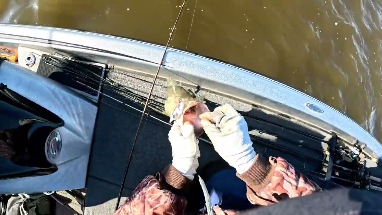 Bass Fishing 202: Lesson 20-The Lipless Crankbait Saves the Day