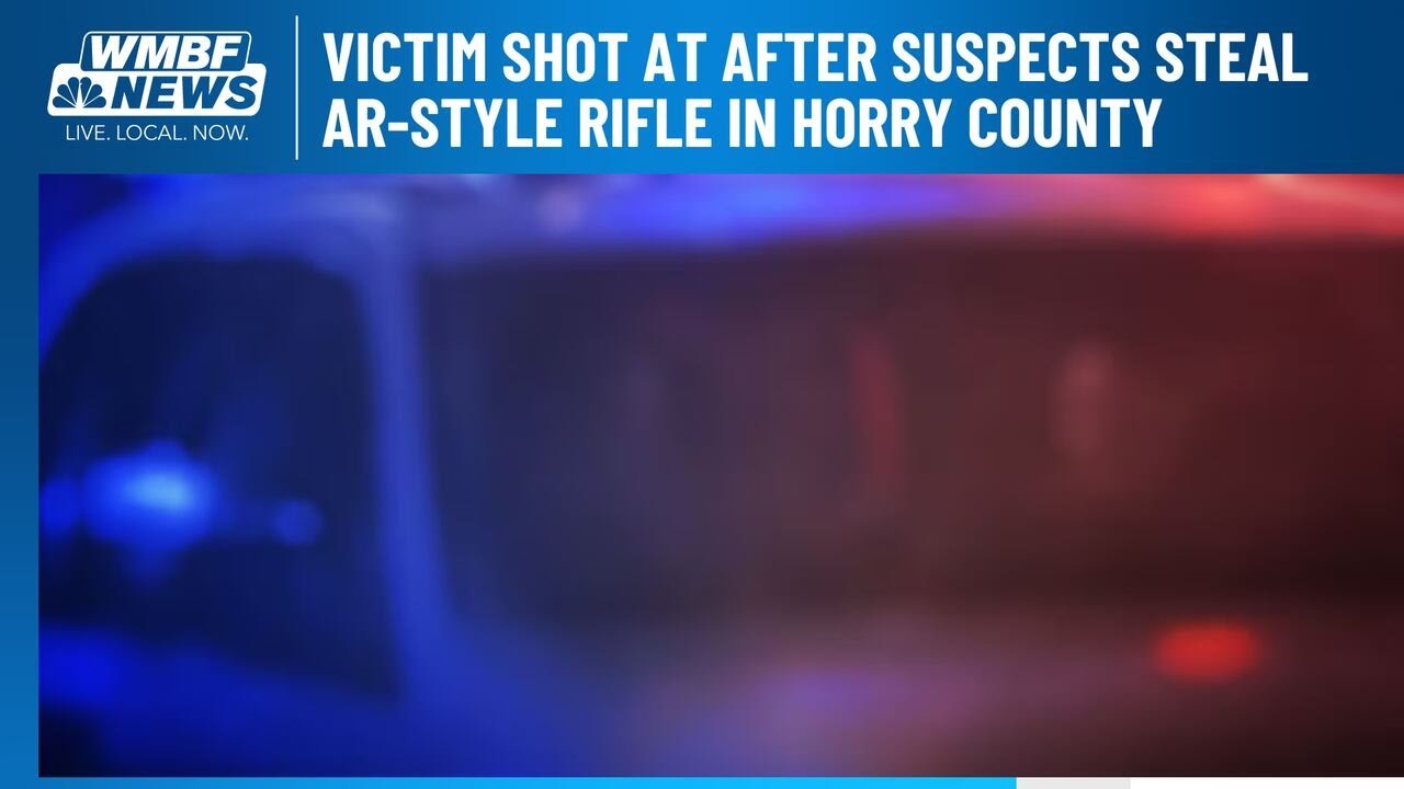 Victim shot at after suspects steal AR-style rifle in Horry County ...