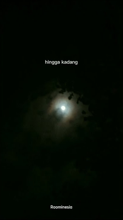 Terjaga Tengah Malam #musikalisasipuisi #puisi #fe #shorts #storywa #korbanghosting