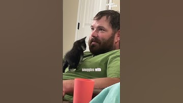 Thumbnail of Kitten's Love Mission: Winning Over a Non Cat Person || Heartsome 💖