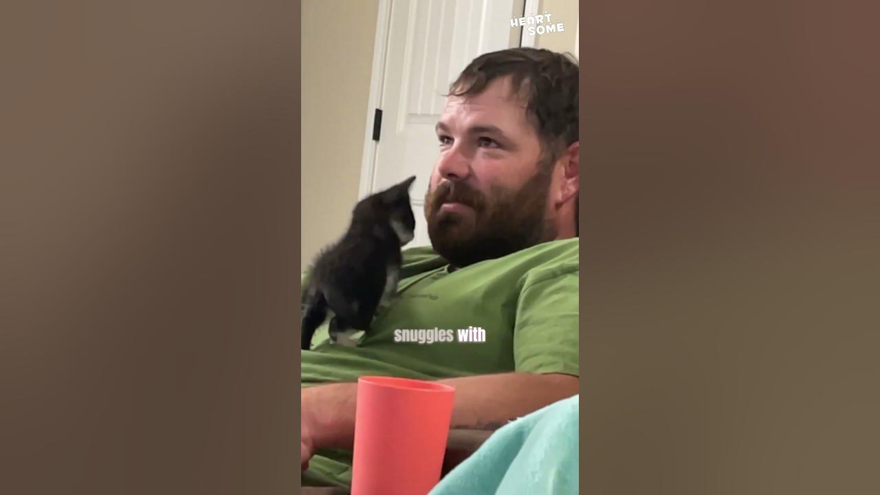 Kitten's Love Mission: Winning Over a Non Cat Person || Heartsome π Kitten's Love Mission: Winning Over a Non Cat Person || Heartsome π