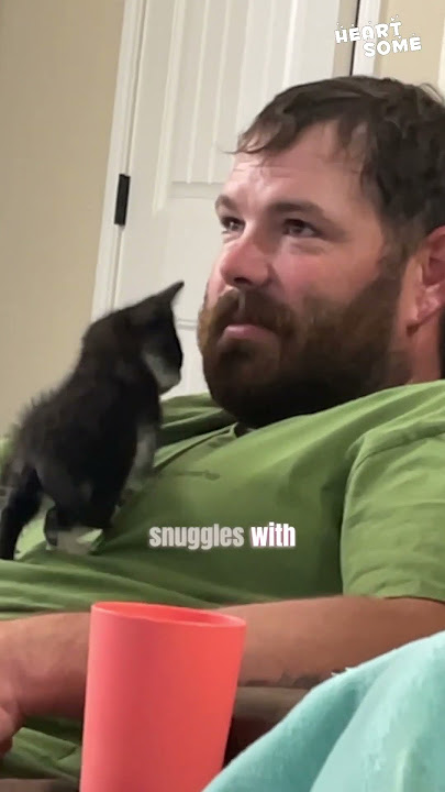 Kitten's Love Mission: Winning Over a Non Cat Person || Heartsome 💖