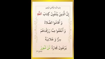 سورة فاطر الآية ( 29 )