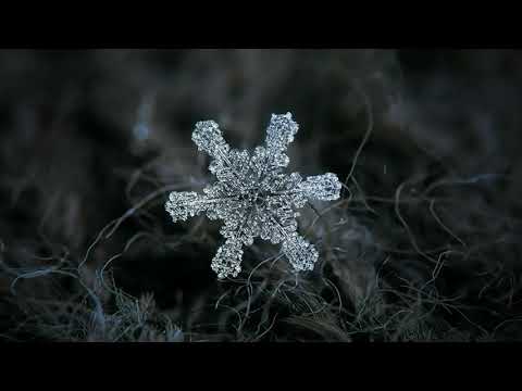 Это должен посмотреть каждый. Снежинки под микроскопом.