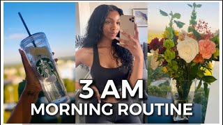 My 3AM Morning Routine (somewhat realistic) | 5 AM Club | Janika Bates