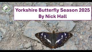 2025 Yorkshire Butterfly Season Review