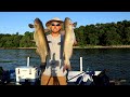 Jug fishing spawning catfish filling the cooler   catch clean