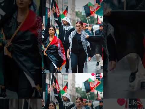 ۱۵ ژانویه ۲۰۲۴