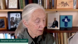 With Love: Mother&#39;s Boy read by Dr. Jane Goodall