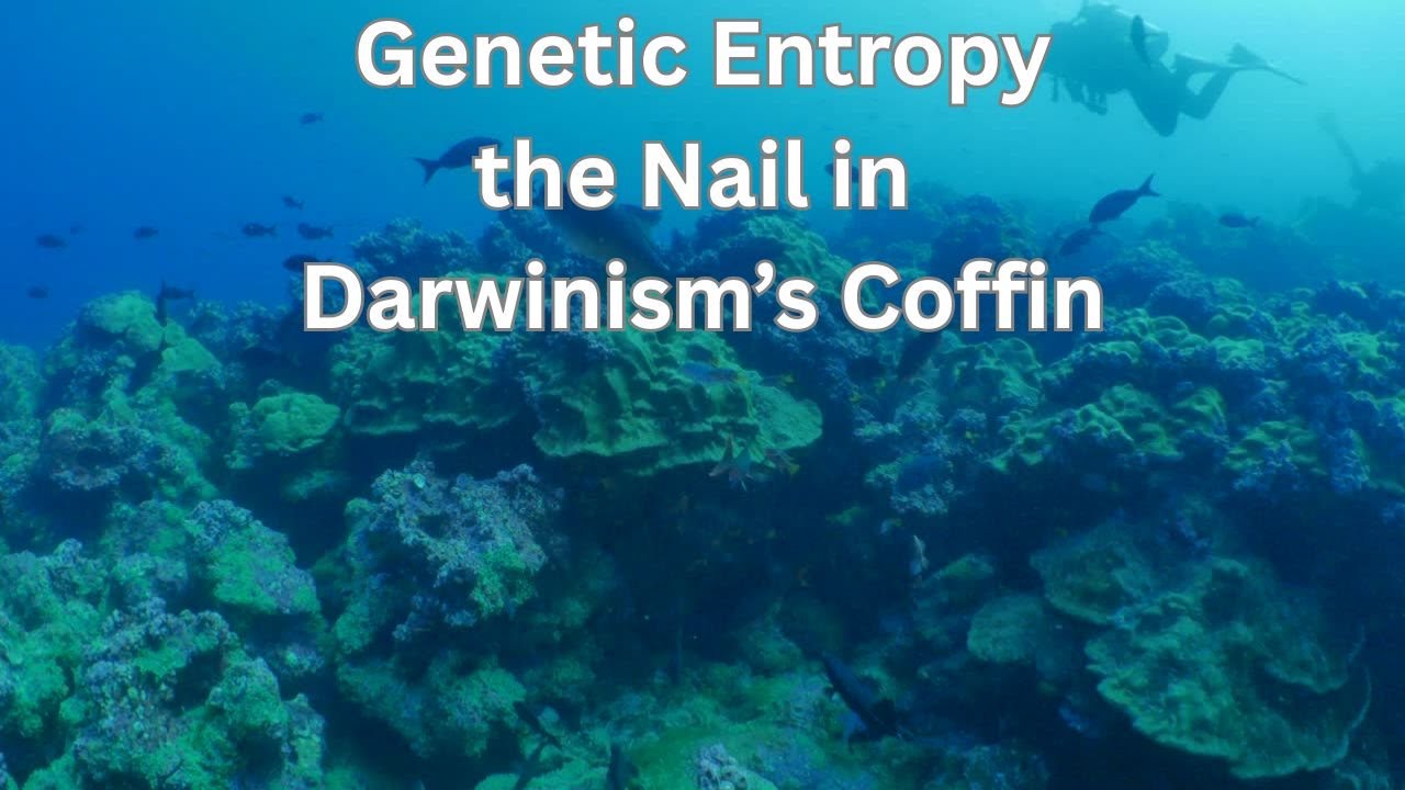 Genetic Entropy: the Nail in Darwinism's Coffin