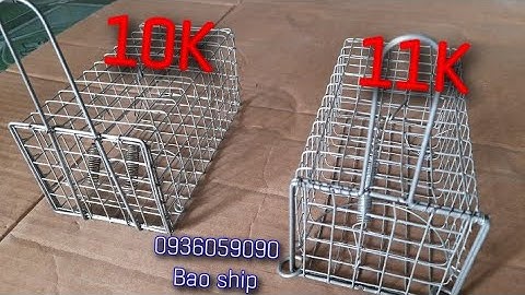 Bán bẫy chuột đồng, bẫy đường mòn không cần mồi. 0936059090 ship toàn quốc.