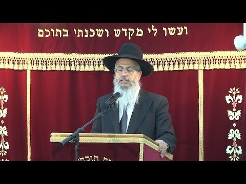 הלכות קדימה בברכות והלכות עיקר וטפל | הרב יורם סרי