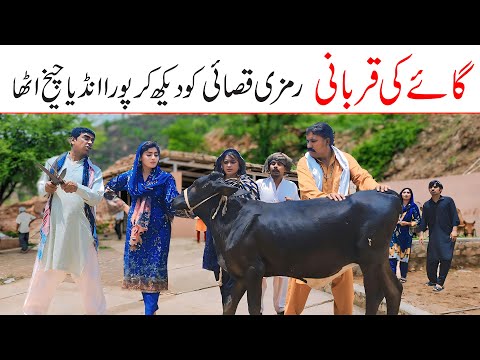 Eid Mubarak 2025 Ramzi Noori Bilo Bhootna Shoki Sanam Falak Sher Funny Video Rachnavi Tv 