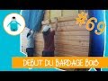 Départ du bardage bois et grilles anti-rongeur - LPMDP #69