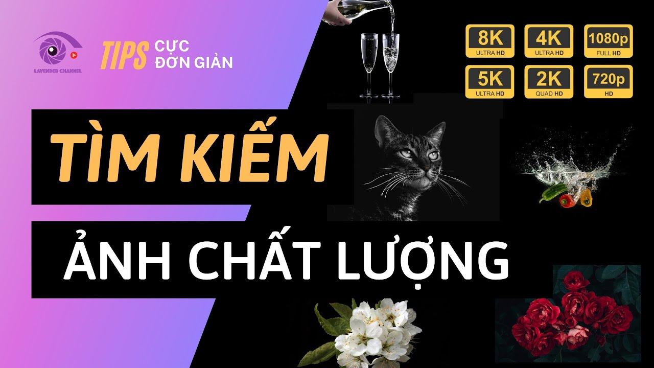 Cách Tìm Kiếm Ảnh Chất Lượng Cao Trên Internet | Search High Resolution Images | Lavender Channel