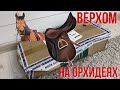 ОРХИДЕИ пришли❗️ а распаковывать СТРАШНО!🫣