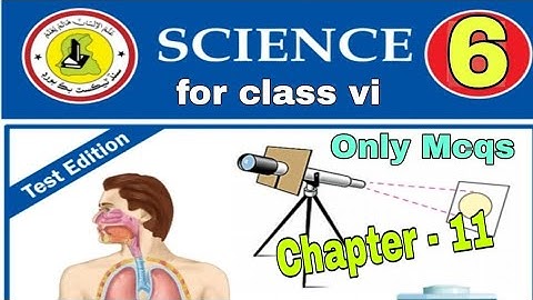 #Sindh#Borad#Textbook#Mcqs#  6th Class Science Chapter 11. Investing Sound|Complete Mcqs