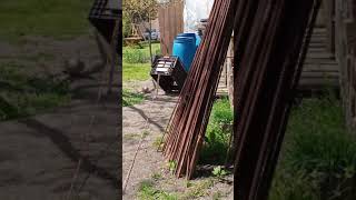 Ilkel Yollar Ile Kuş Yakalama Tuzağı