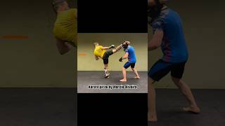 Karate Jutsu By Marcio Oliveira